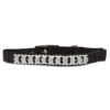 Petmate PM Cat Elastic CLR 3/8 X 8-10" Black Bling