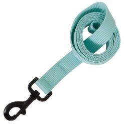 Petmate AP Leash GLOW IN DARK 1"X 4ft Blue