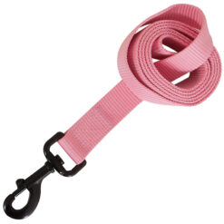 Petmate AP Leash GLOW IN DARK  Hot Pink