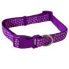 Petmate PM ADJ CLR GID Embroidered Ribbon 3/4 x 14