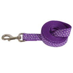 Petmate PM Leash GID Embroidered Ribbon 1 x 6 Pur