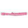 Petmate AP CAT CLR 3/8in x 8-10in CF JEWEL HOT PIN