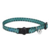 PETMATE貓頸帶BRKWY FASHION CLR 3/8' x 8-12' 12242