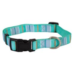 Petmate AP CLR Teal Stripe