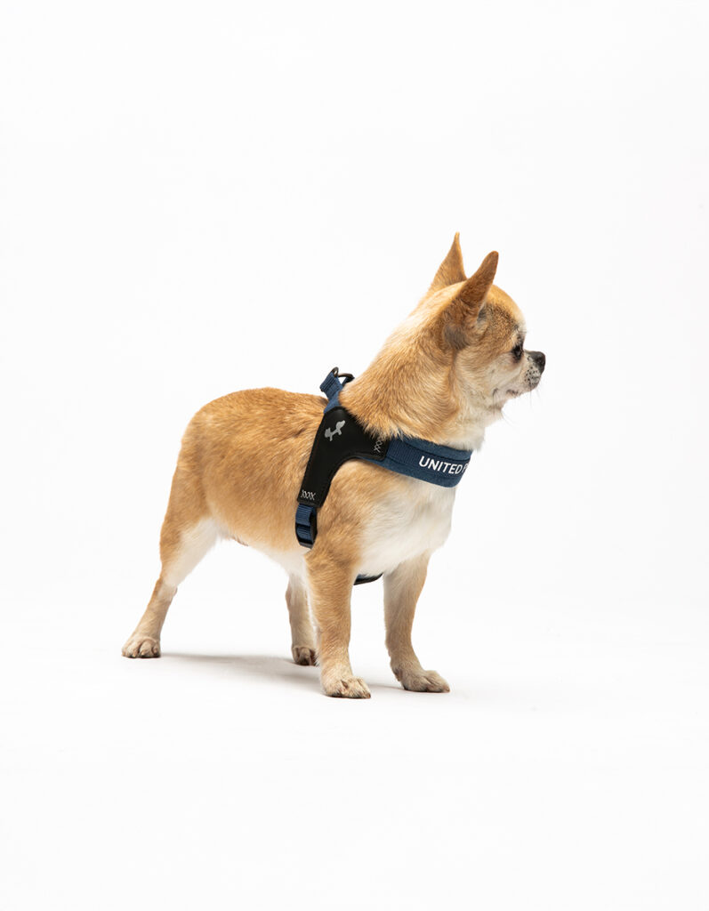 Pet Line 寵寵線