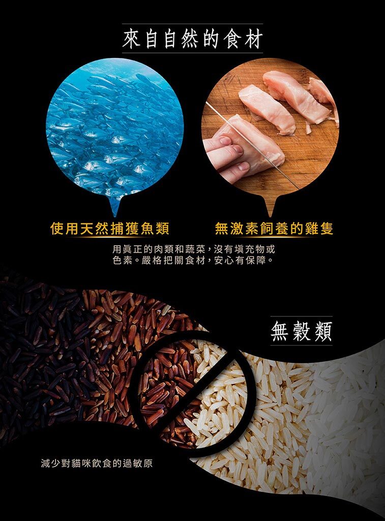 Pet Line 寵寵線