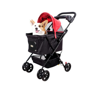 dog in buggy