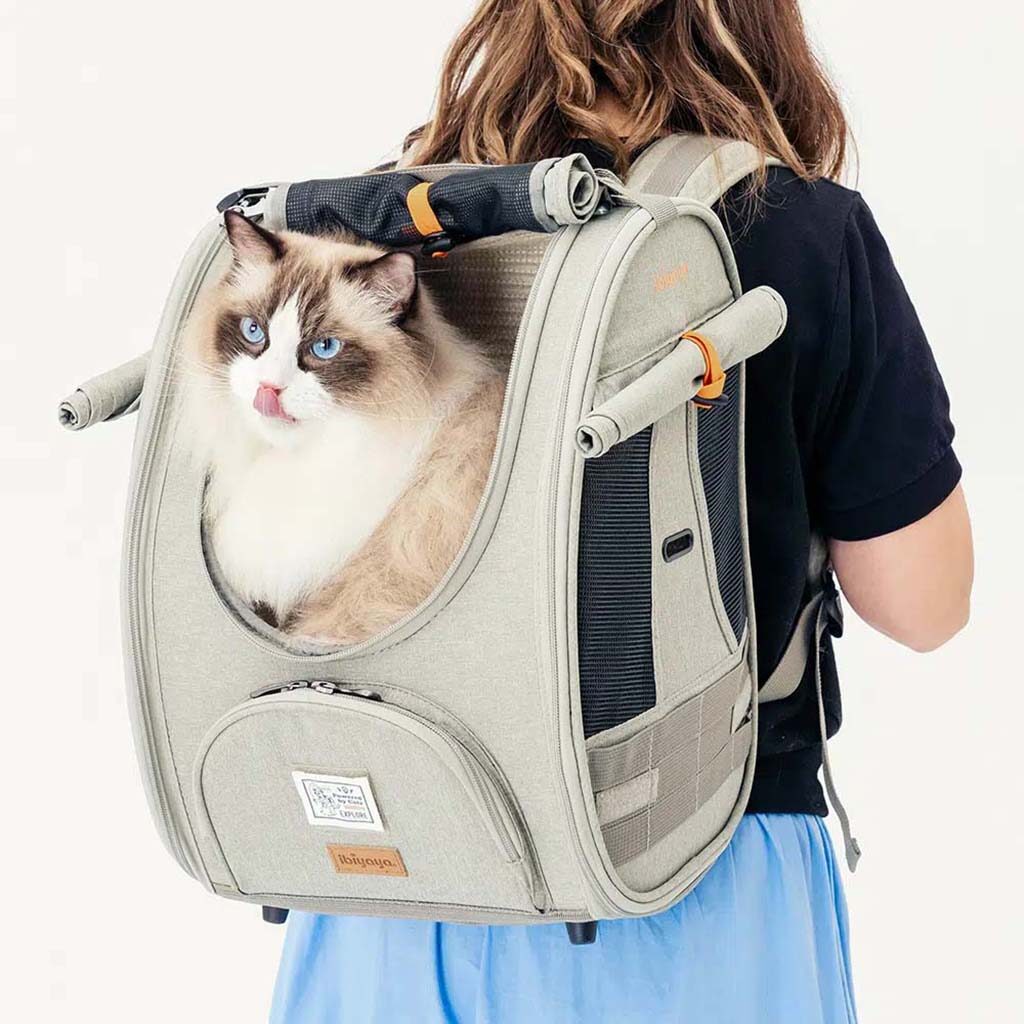 Pet Line 寵寵線