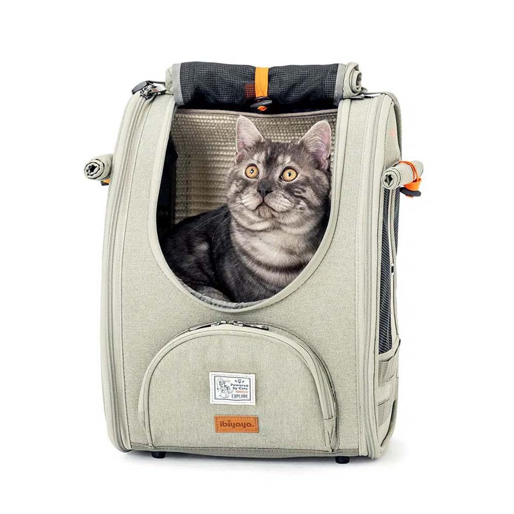 Pet Line 寵寵線