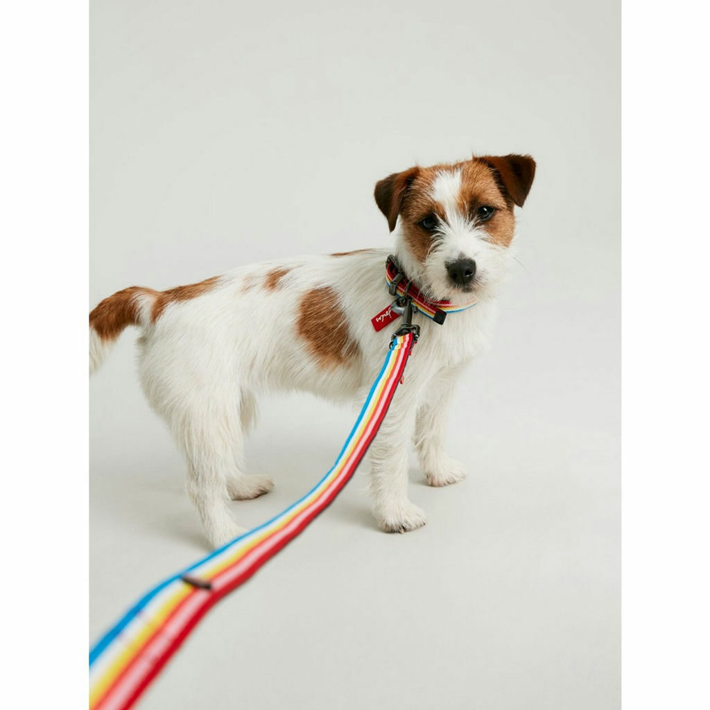 Pet Line 寵寵線