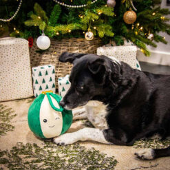 Alternative view of RW BLITZEN BAUBLE