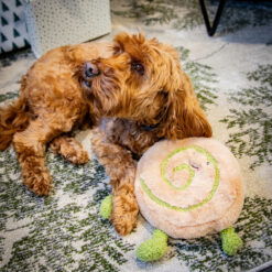 Alternative view of RW PAPA PESTO PINWHEEL
