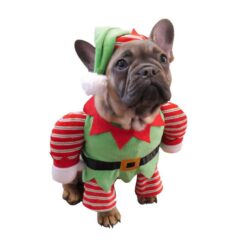 Rosewood SANTA'S LITTLE HELPER DRESS-UP(M)90769