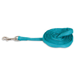 Petmate PAD REFLC LEAD 5/8"X6" TEAL