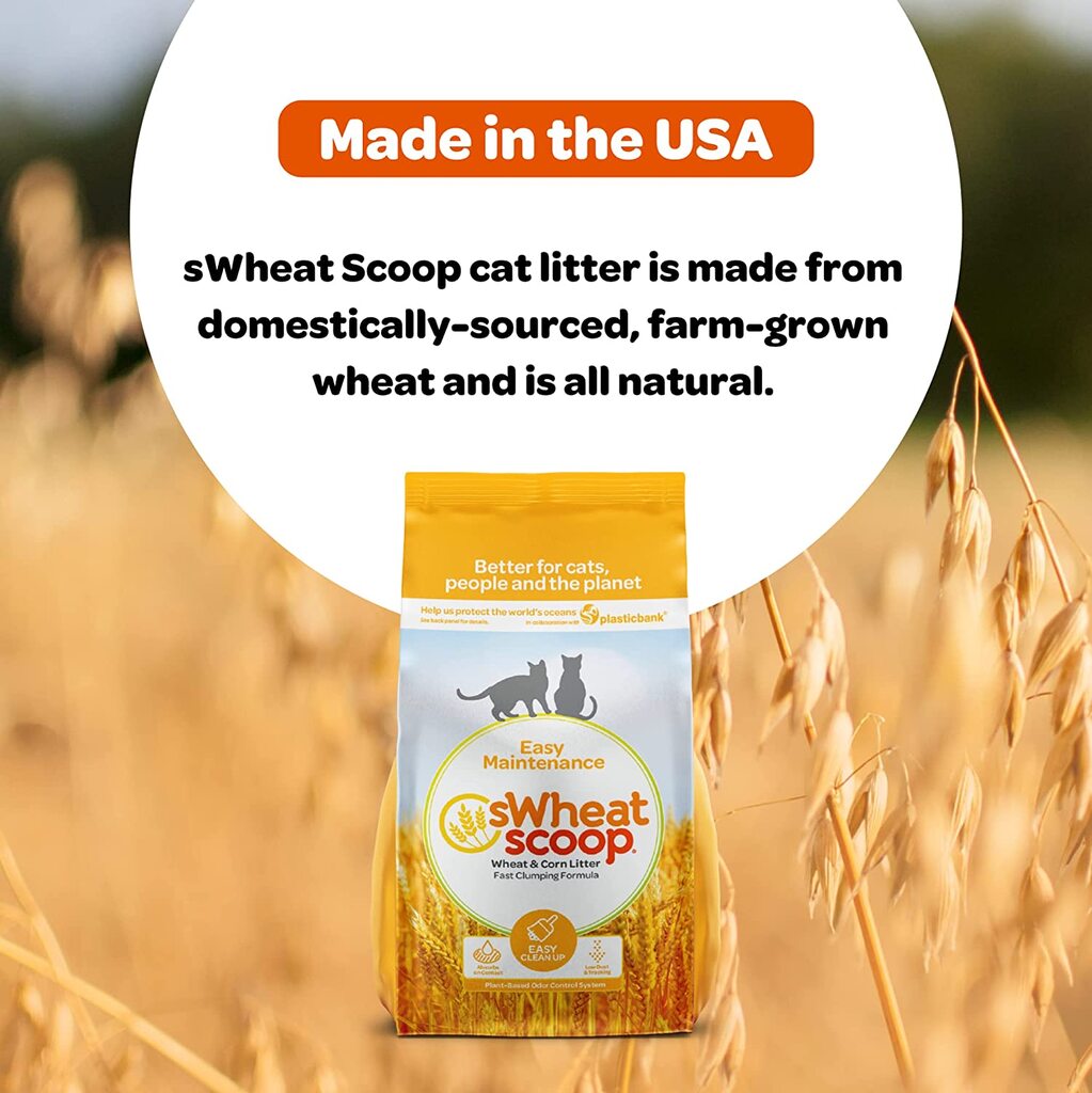 Swheat scoop discount cat litter