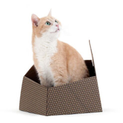 U.P. Cat-in-the-box KITTY AP3401