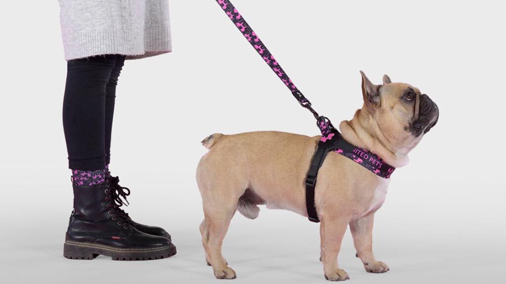 Pet Line 寵寵線