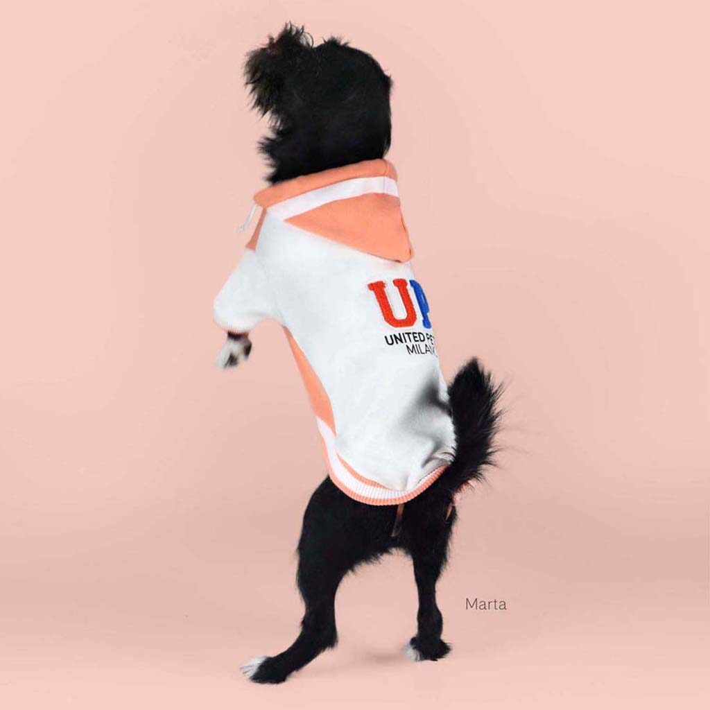 Pet Line 寵寵線