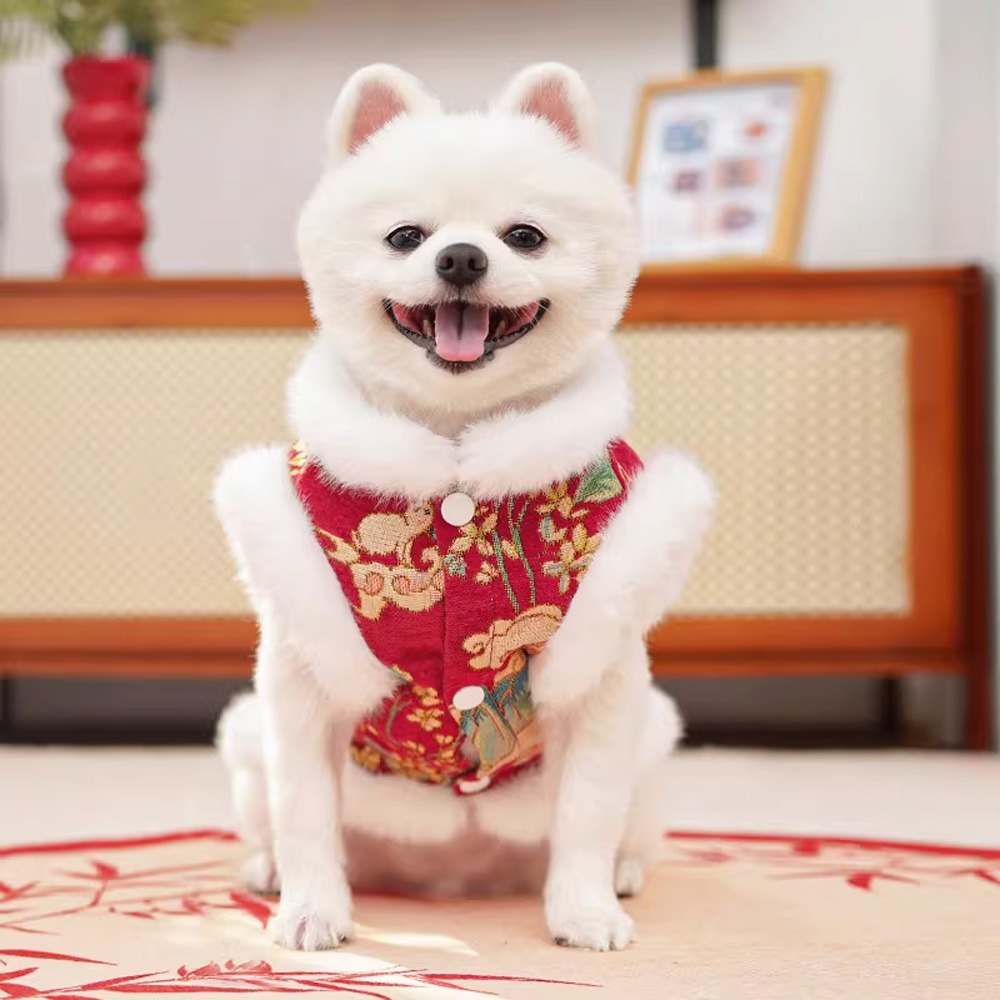 Pet Line 寵寵線