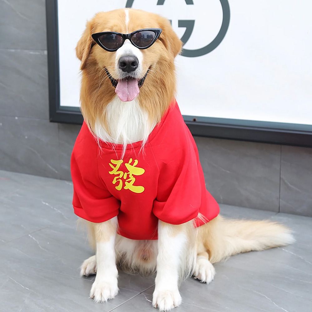 Pet Line 寵寵線