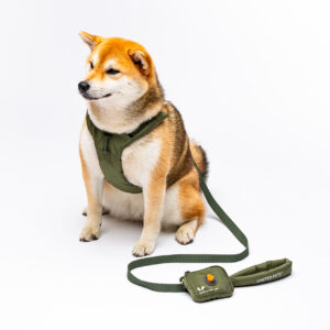 Pet Line 寵寵線